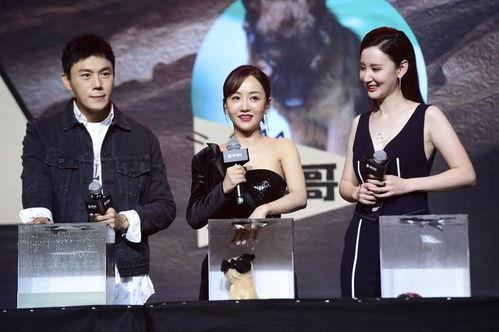 娱乐圈综艺吃瓜爆料,综艺幕后那些不为人知的吃瓜爆料